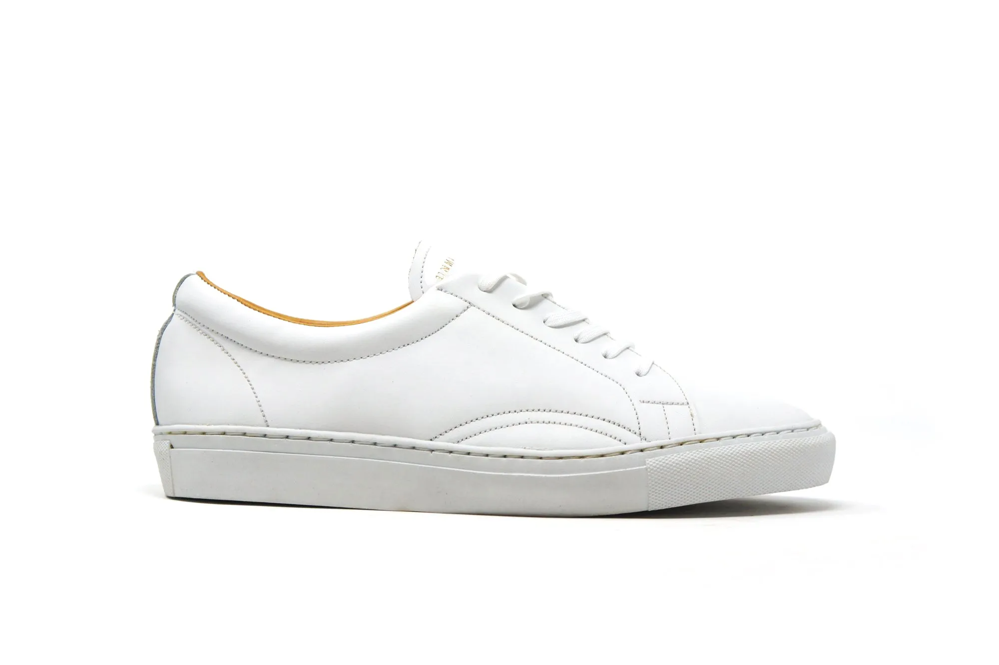 Alvin Polar White