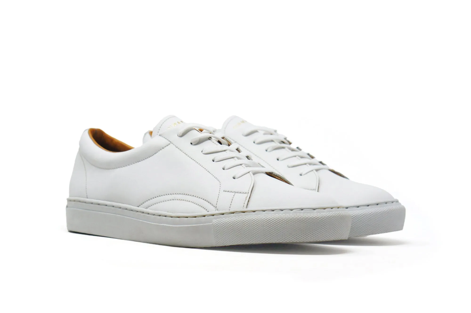 Alvin Polar White