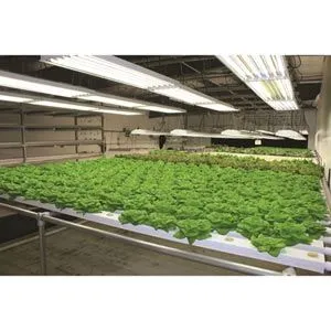 FarmTek HydroCycle Commercial 6" NFT | Growing Systems For Indoor Farming