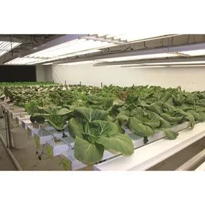 FarmTek HydroCycle Commercial 6" NFT | Growing Systems For Indoor Farming