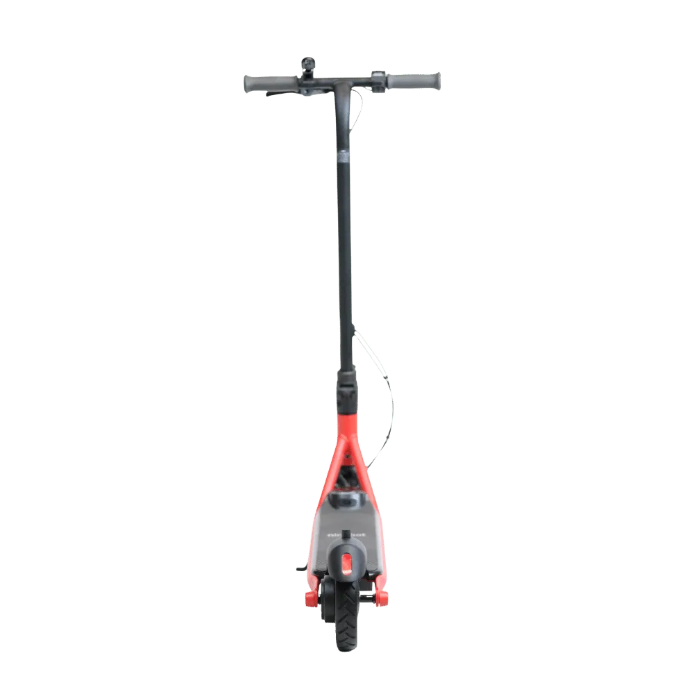Segway Ninebot Zing C20 Electric Scooter
