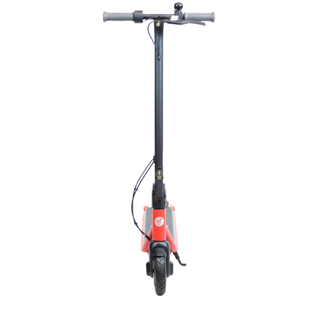 Segway Ninebot Zing C20 Electric Scooter