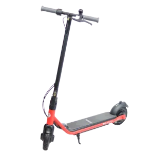 Segway Ninebot Zing C20 Electric Scooter