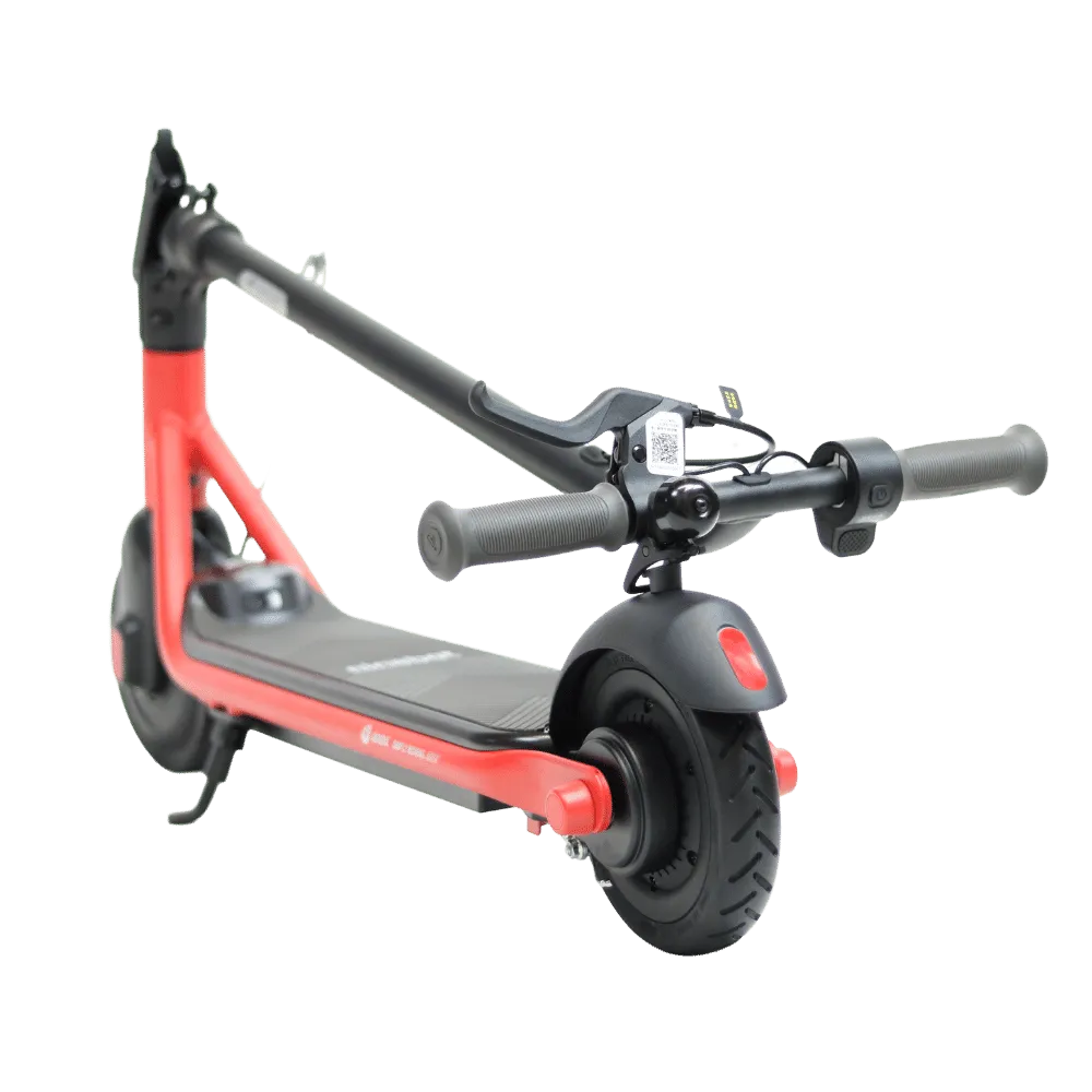 Segway Ninebot Zing C20 Electric Scooter