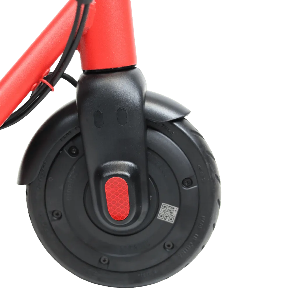 Segway Ninebot Zing C20 Electric Scooter