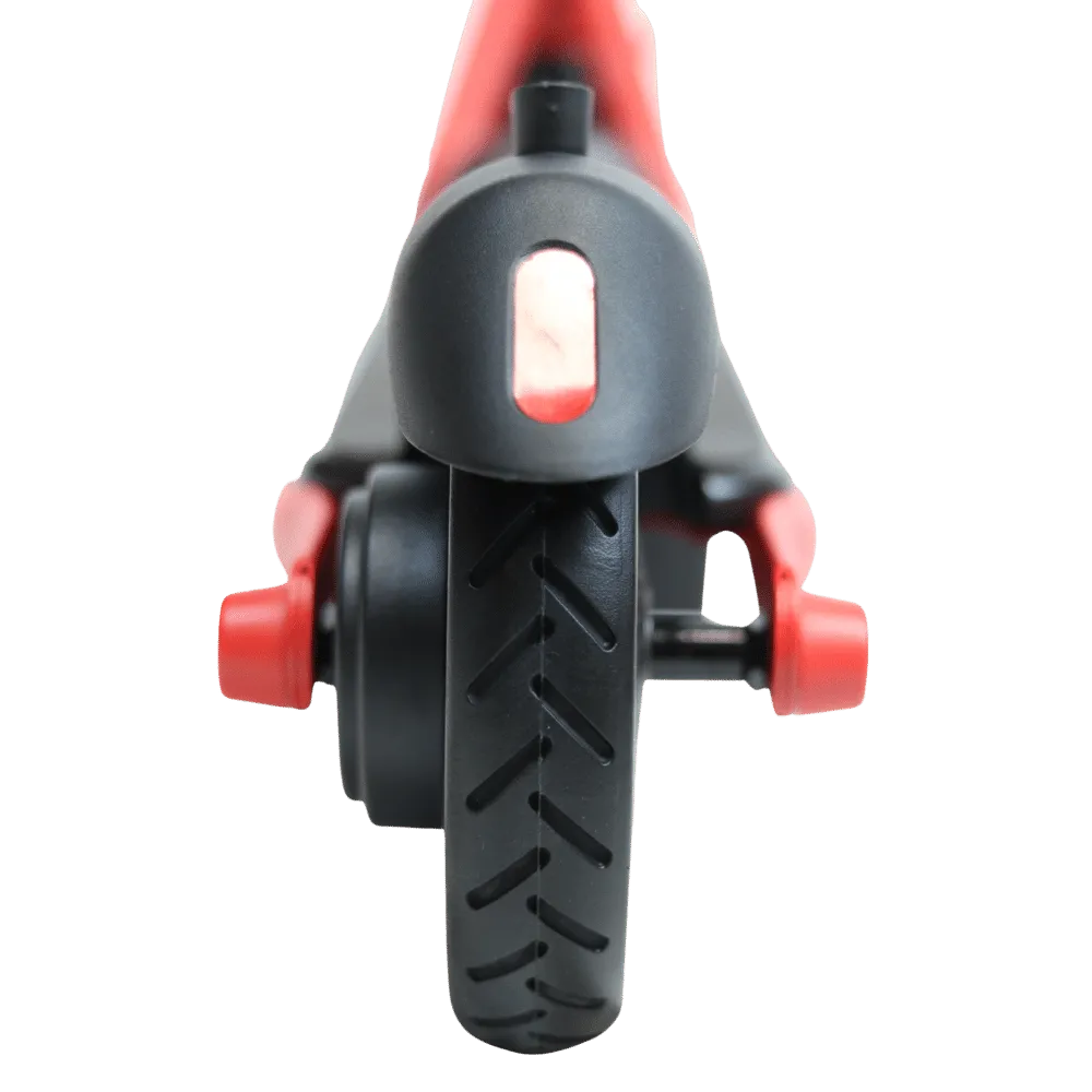 Segway Ninebot Zing C20 Electric Scooter
